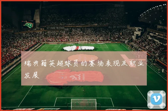 瑞典籍英超球员的赛场表现及职业发展